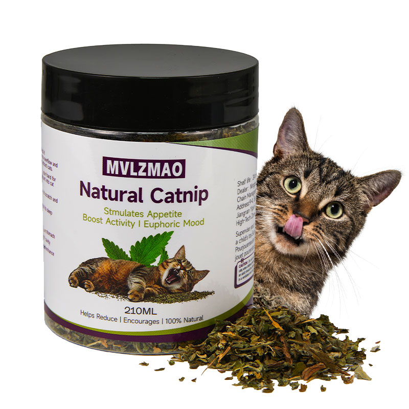 Herbal Wellness Blend - Juguetes para gatos: hierba gatera plateada
