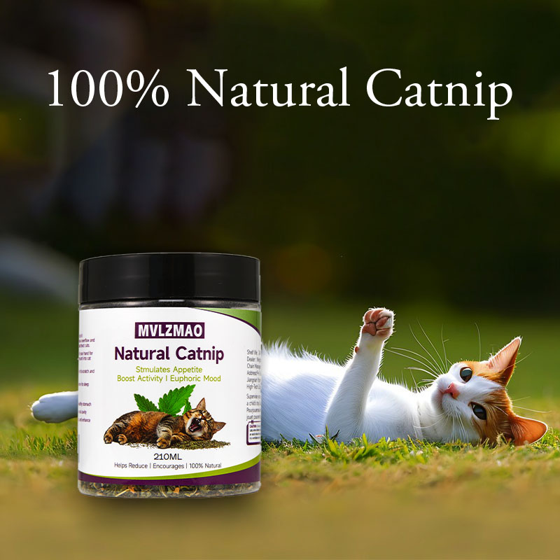 Juguetes para gatos: hierba ga - Herbal Wellness Blend reseña y precio