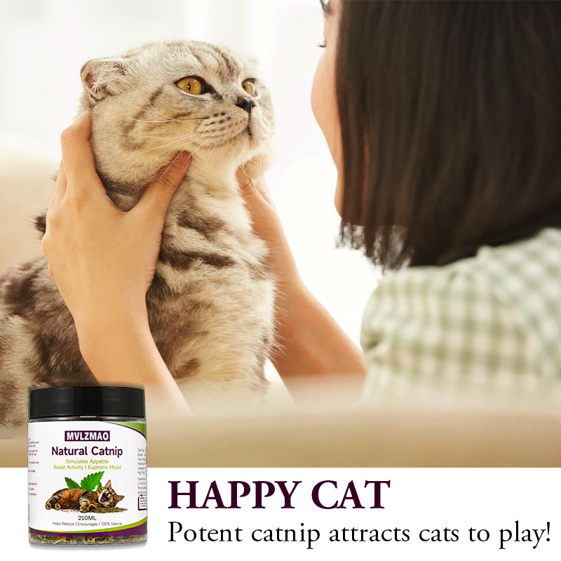 Juguetes para gatos: hierba ga - Herbal Wellness Blend reseña y precio